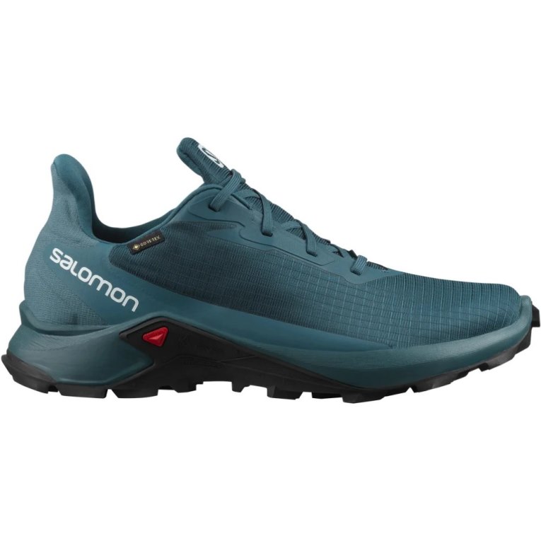 Tenis Para Trail Running Salomon Alphacross 3 GTX Hombre Turquesa | MX KIXV984